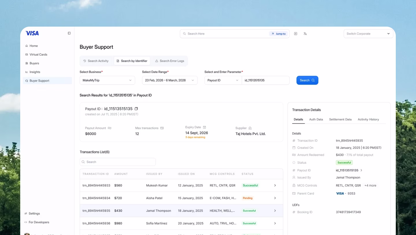 Visa — Buyer Support / Payments Platform