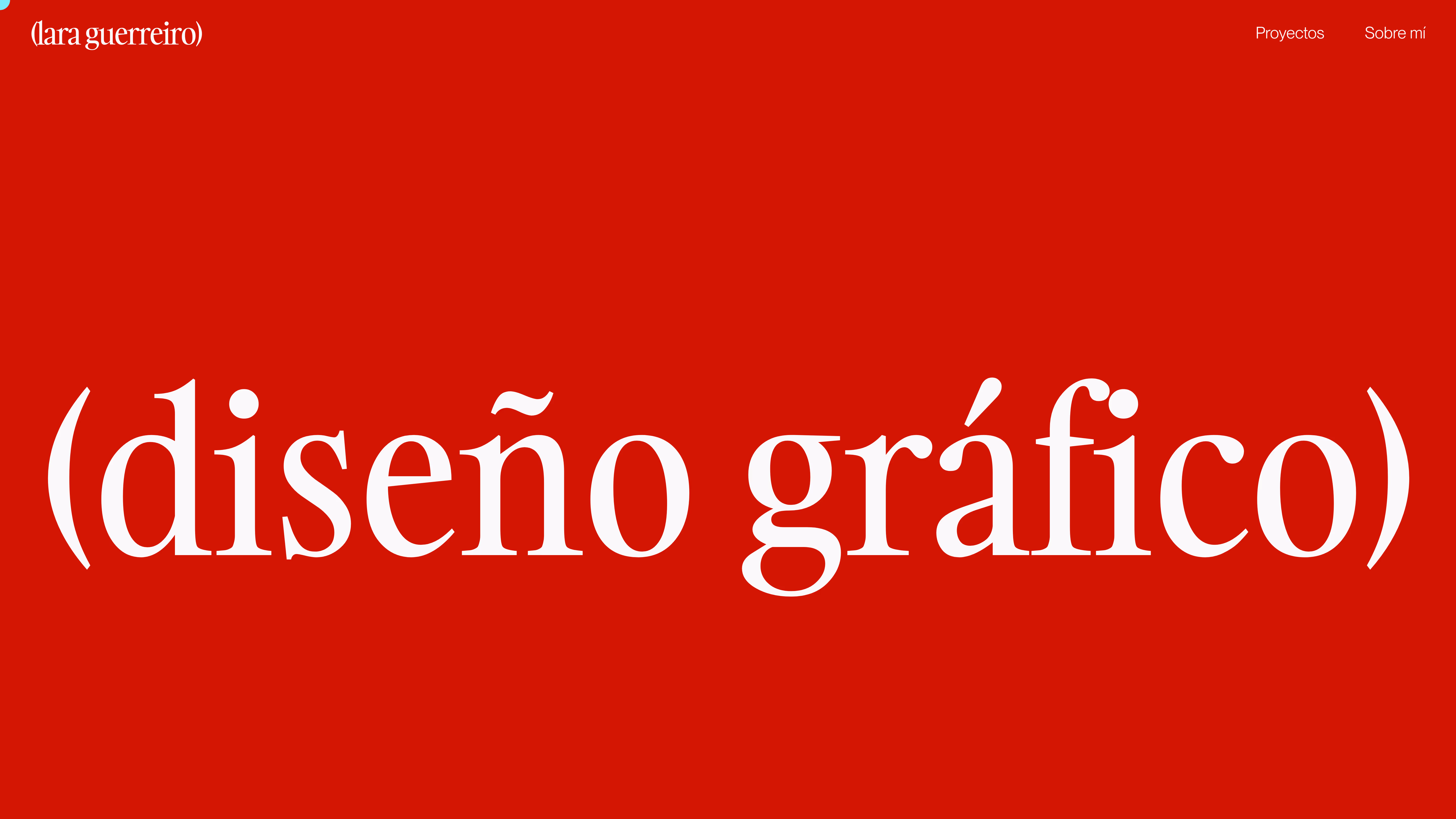 Wall of portfolios - by praneeth jonnala