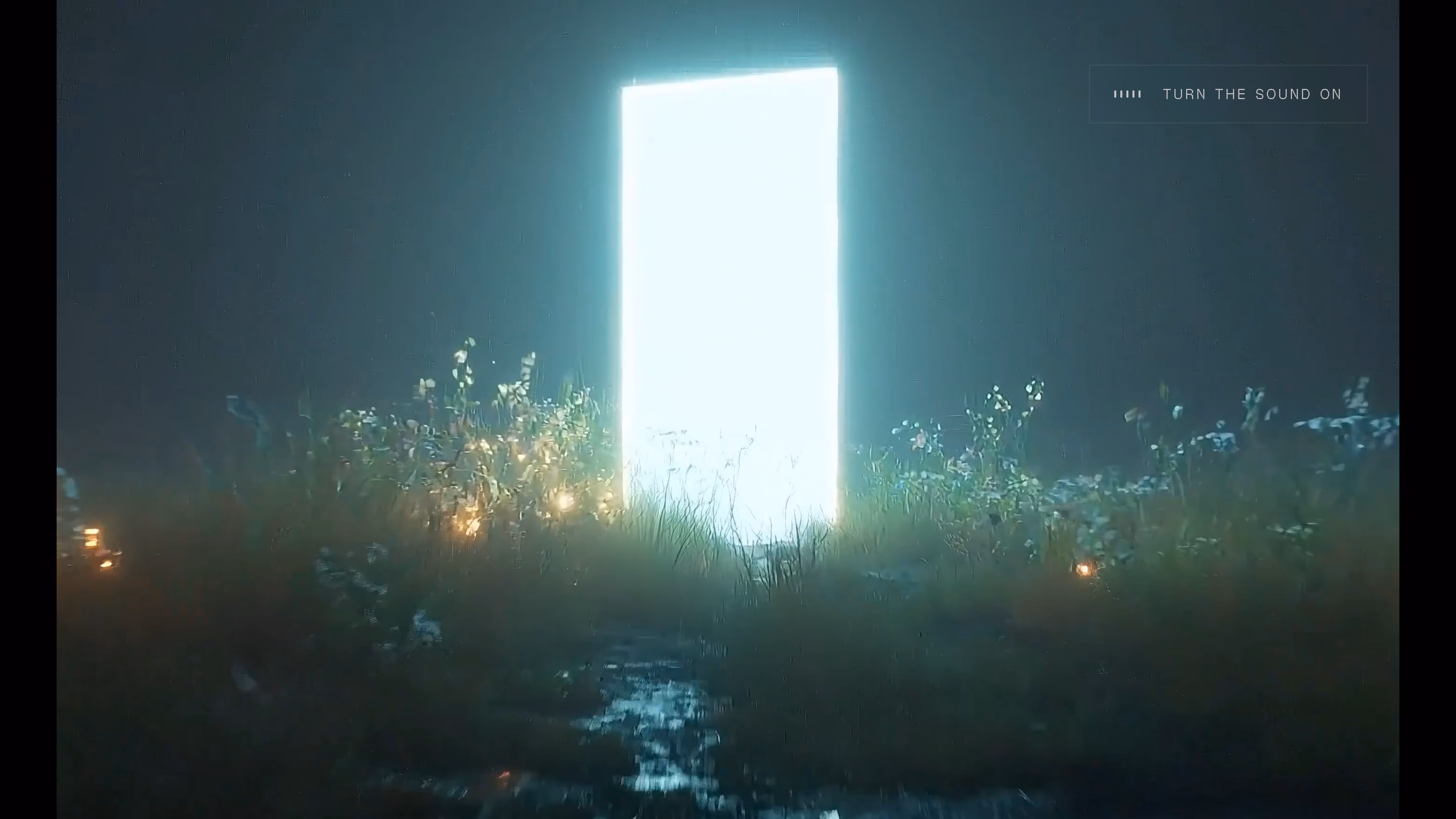 Wall of portfolios - by praneeth jonnala