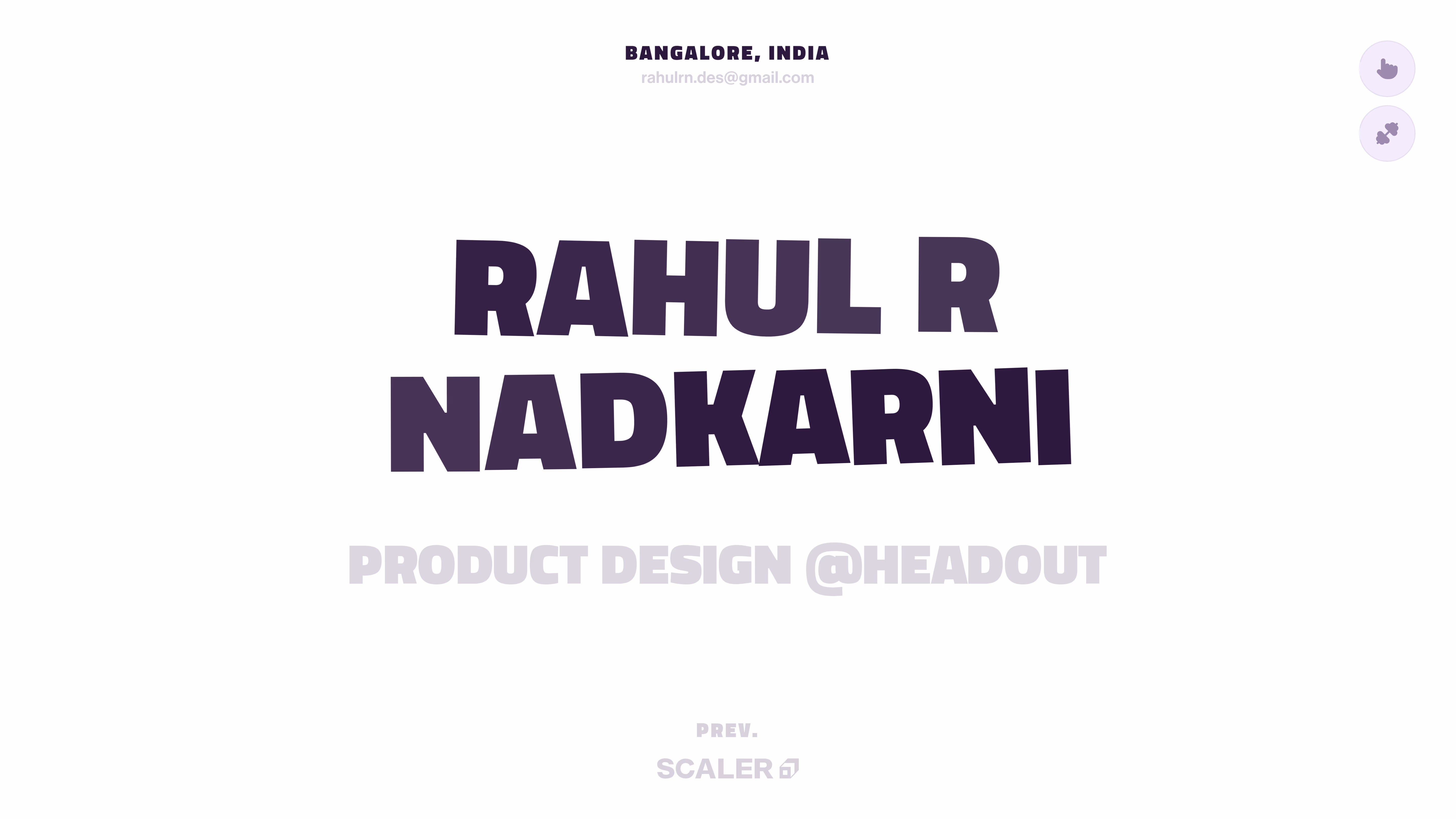 Rahul R Nadkarni