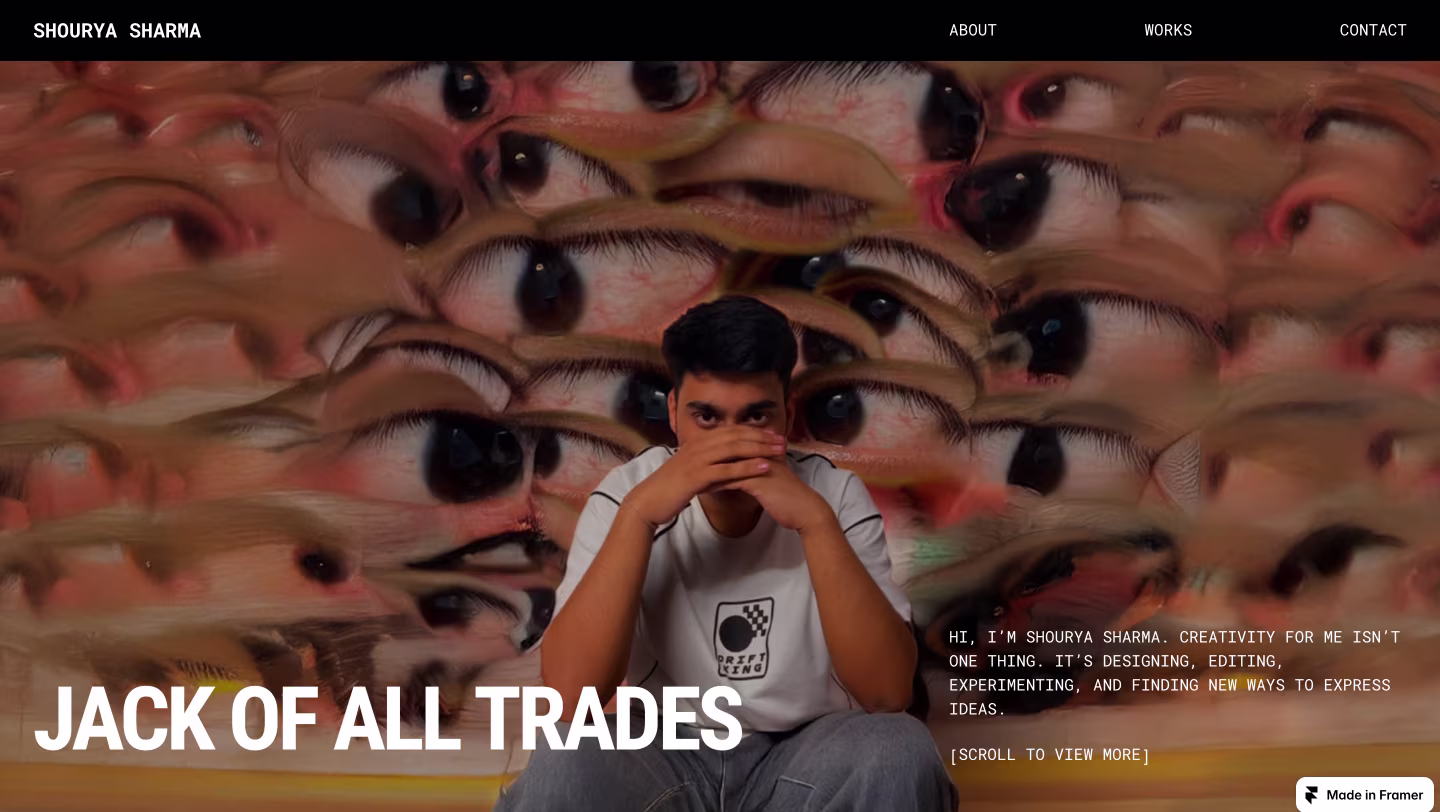 Wall of portfolios - by praneeth jonnala